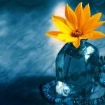 Download Blue Yellow Flower Flower Nature PFP