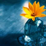 blue yellow flower flower nature PFP