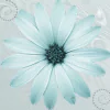A serene blue flower design, showcasing delicate petals and intricate details, serves as a calming forum avatar, embodying the beauty of nature and floral elegance.
