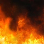 artistic fire PFP