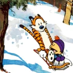 Comic Calvin & Hobbes PFP