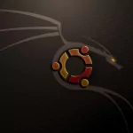 technology Ubuntu PFP