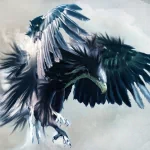 Animal eagle PFP