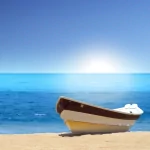 nature ocean PFP