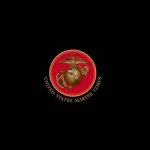 military United States Army PFP