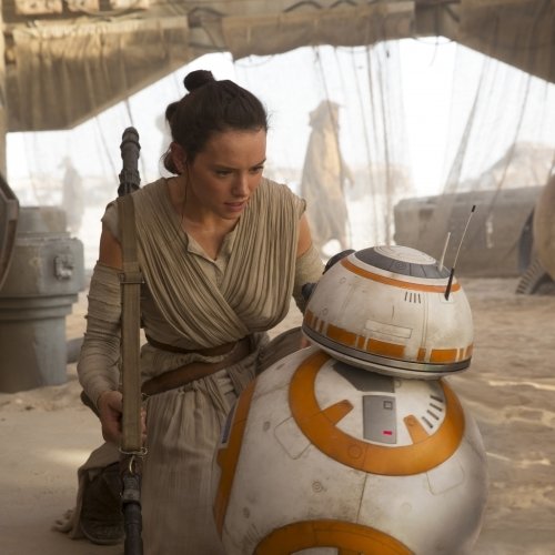 Download BB-8 Daisy Ridley Rey (Star Wars) Star Wars Star Wars Episode VII: The Force Awakens Movie PFP