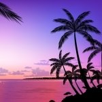 Download Nature Beach PFP