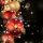 Christmas Ornaments