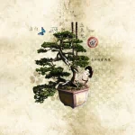  bonsai