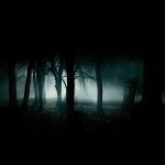 Download Dark Forest PFP