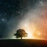 Download Nature A Dreamy World PFP