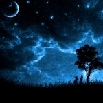 Download Nature A Dreamy World PFP