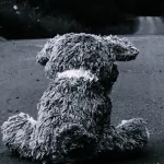 Lonely stuffed animal sitting on the road, used as an artistic profile picture.