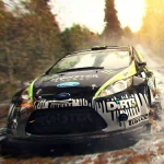 video game DiRT 3 PFP
