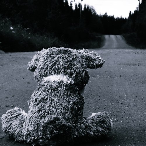 Download Man Made Road PFP