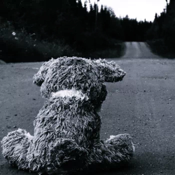  Sad Teddy Bear