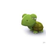 Animal turtle PFP