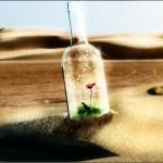 Download Artistic Dream PFP