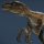 velociraptor