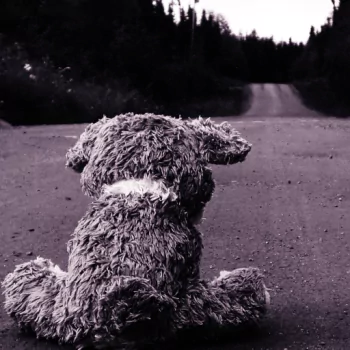  Sad Teddy Bear