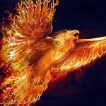 Download Fantasy Phoenix PFP