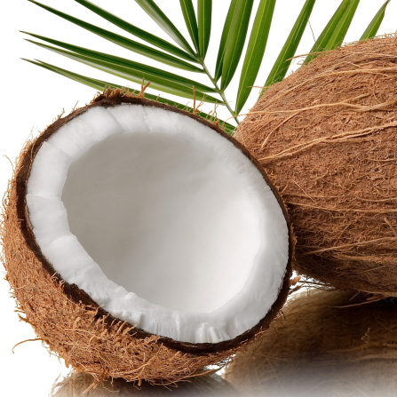 Coconut Pfp