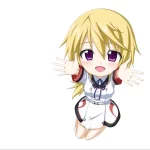 Anime Infinite Stratos PFP