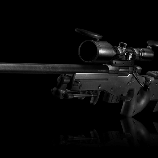Sniper Rifle Pfp