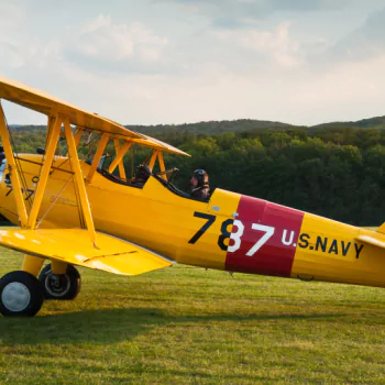 vehicle airplane PFP