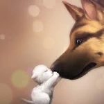 An illustration of a small white kitten affectionately touching the nose of a large brown dog, used as a forum avatar/profile photo.