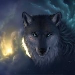 Download Animal Wolf PFP