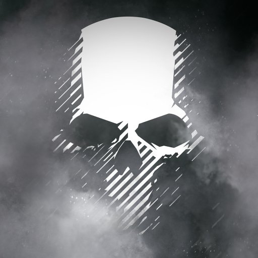 Download Tom Clancy’s Ghost Recon Wildlands Skull Video Game PFP