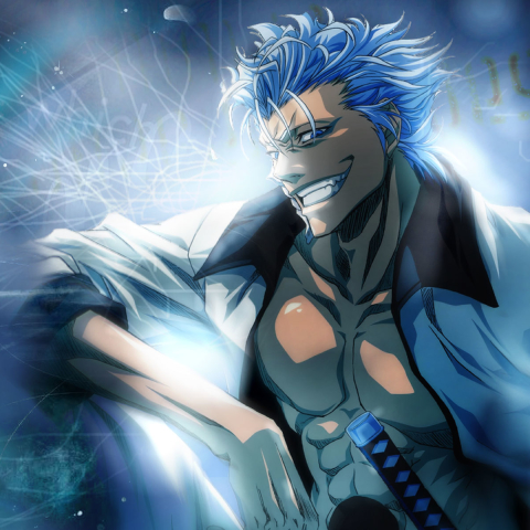 Download Grimmjow Jaegerjaquez Anime Bleach PFP