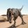 Tyrannosaurus Rex