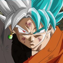 Avatar featuring Goku from Dragon Ball Super in Super Saiyan Blue form, facing Black Goku. The image showcases intense expressions and distinct hairstyles from the anime.