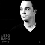 The Big Bang Theory Pfp by Roberta Satler