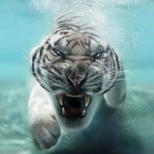Download Underwater Tiger Animal White Tiger  PFP