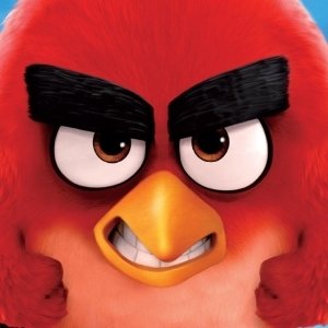 Download Movie The Angry Birds Movie PFP