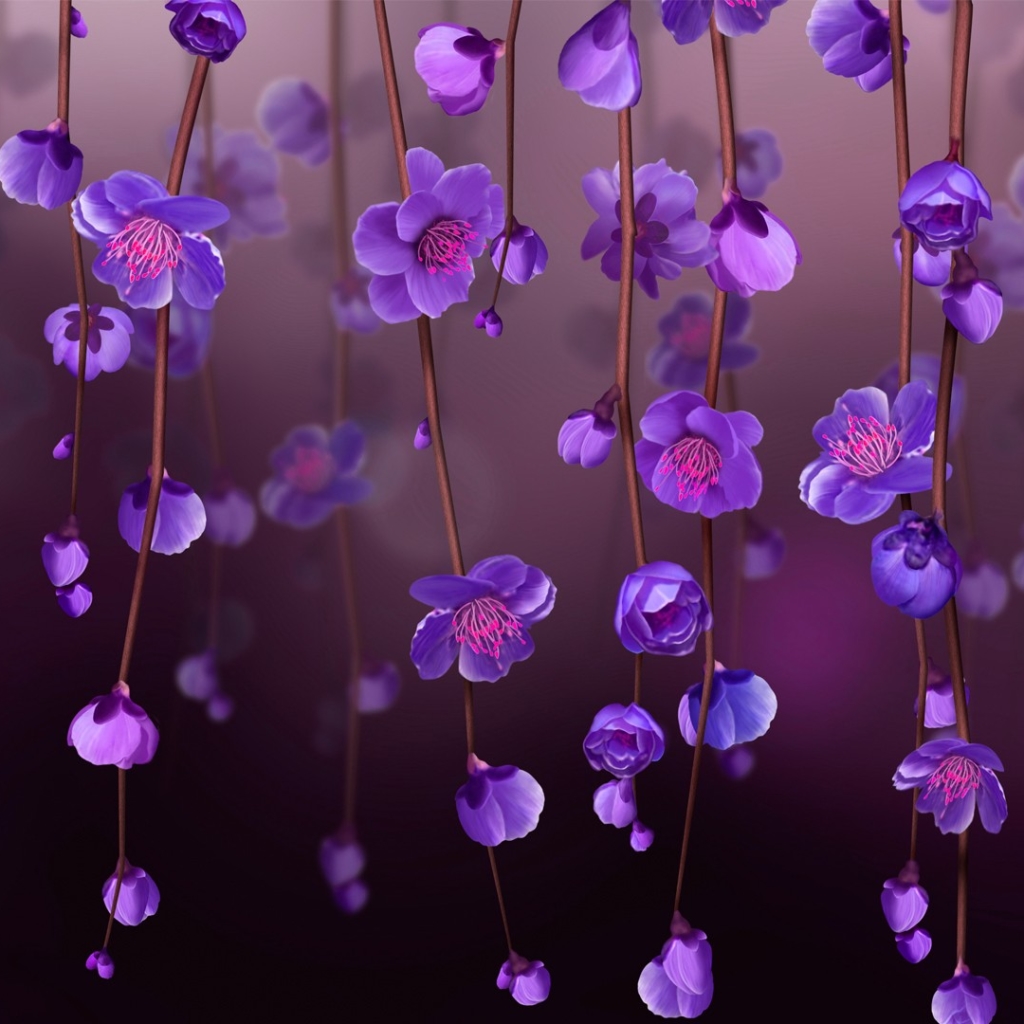 Purple Blossoms by Ma Donna