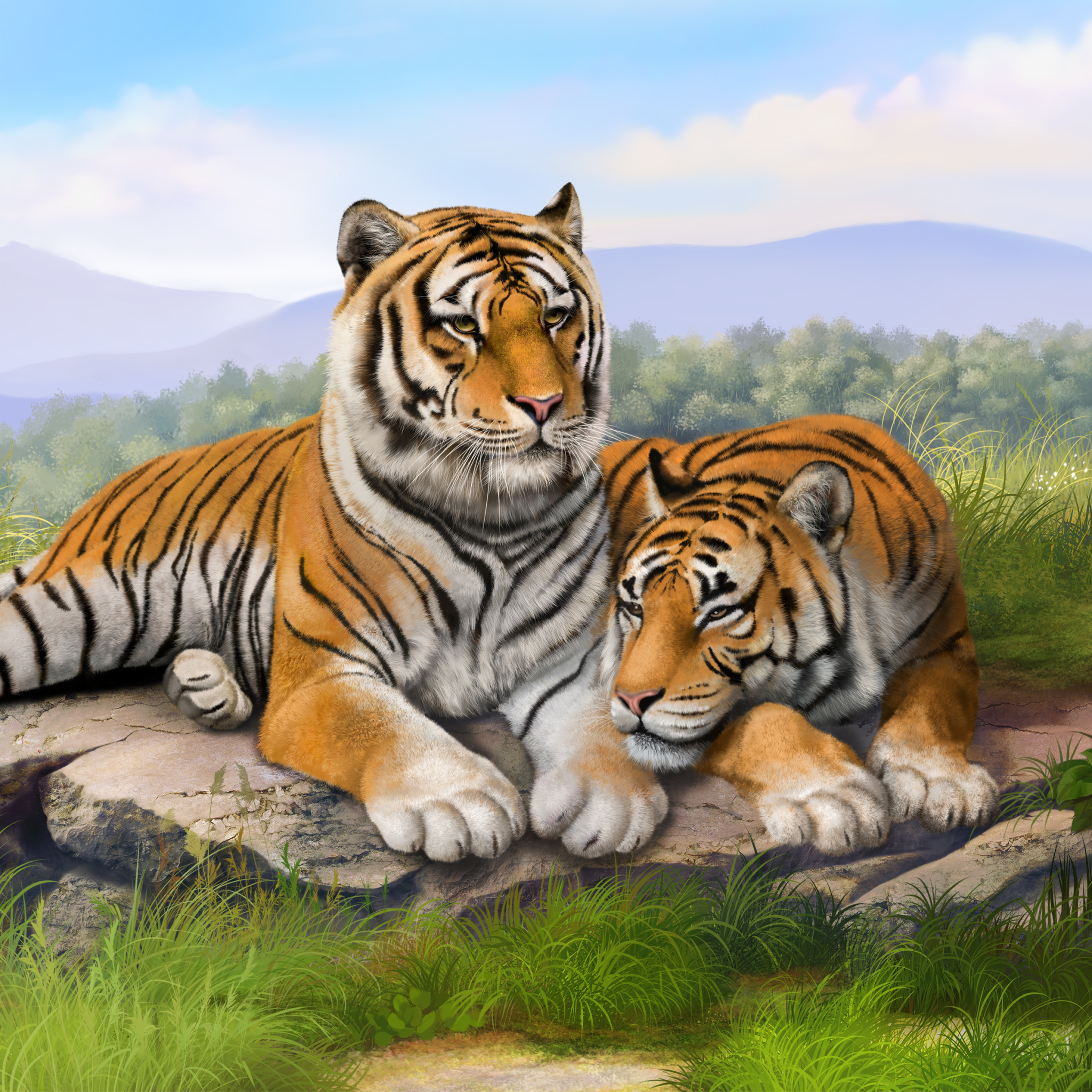 Tigers by Olga Grigoryeva