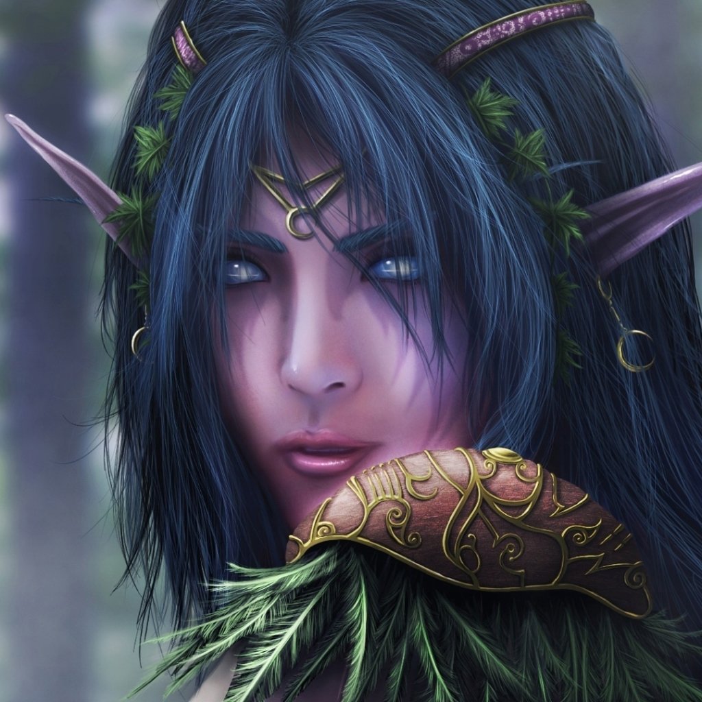 Night Elf Pfp 8869