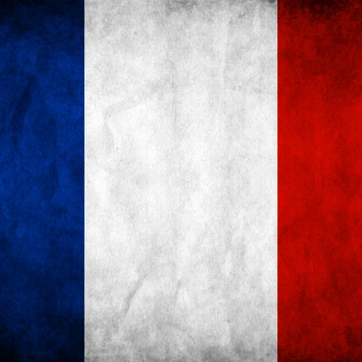 Flag Of France Pfp