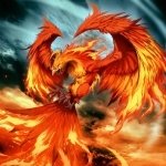 Download Fantasy Phoenix PFP