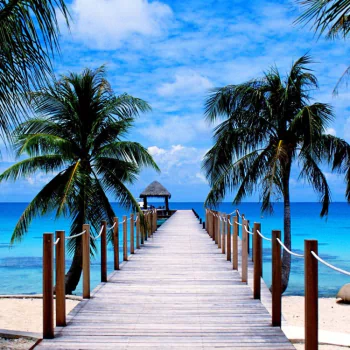  Tropical Beach Pier