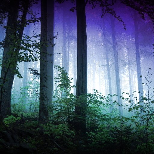 Download Nature Forest PFP