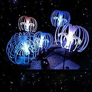 Download Artistic Psychedelic PFP