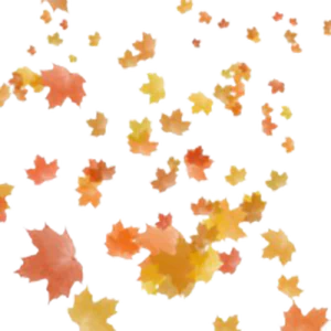 nature leaf PFP