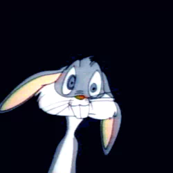 TV Show Looney Tunes PFP