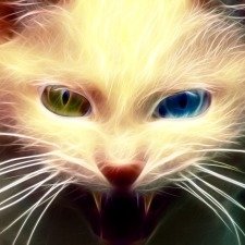 Download Artistic Psychedelic PFP