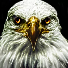 artistic psychedelic PFP